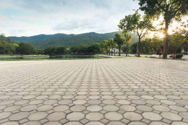 Reasons to Select Us for Your Driveway Paving Requirements in Cold Springs, NV