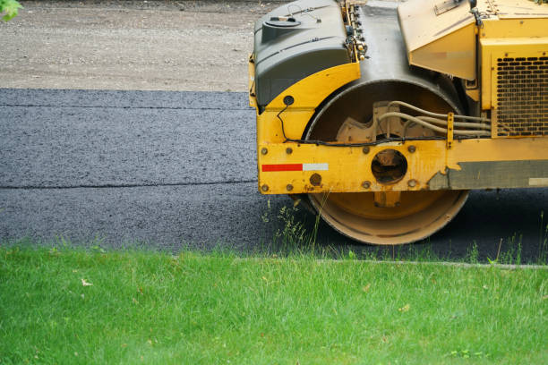 Best Driveway Pavers Near Me  in Cold Springs, NV