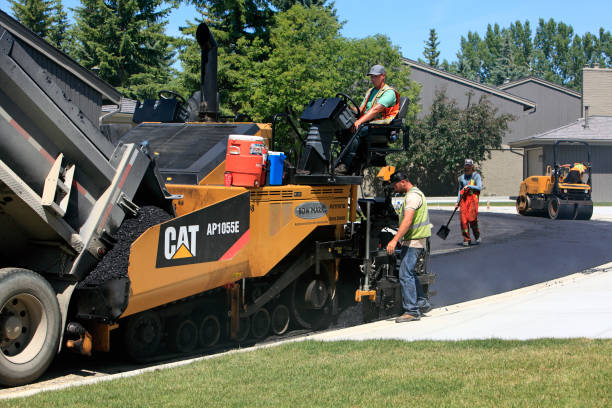 Best Residential Paver Driveway  in Cold Springs, NV